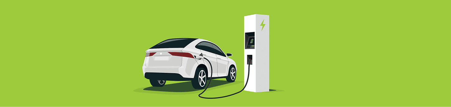 Government of Canada IZEV Program